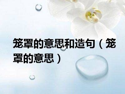 籠罩 意思|籠罩 的意思、解釋、用法、例句